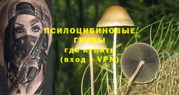 ALPHA-PVP Каменногорск