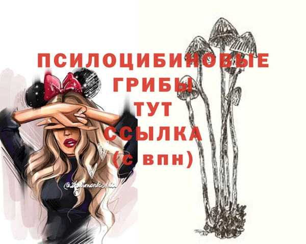 ALPHA-PVP Каменногорск