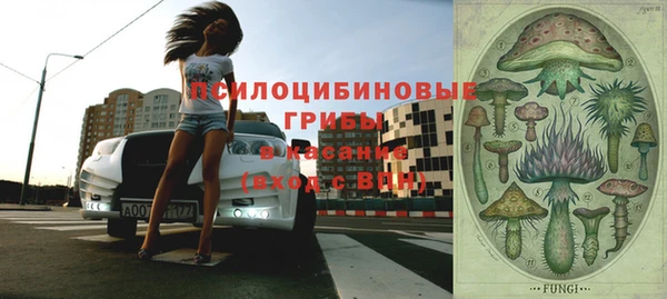 mdpv Каменск-Шахтинский
