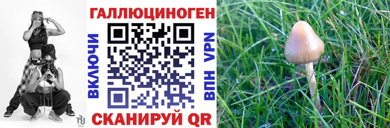 Купить  Вуктыл  Псилоцибиновые грибы MAGIC MUSHROOMS 